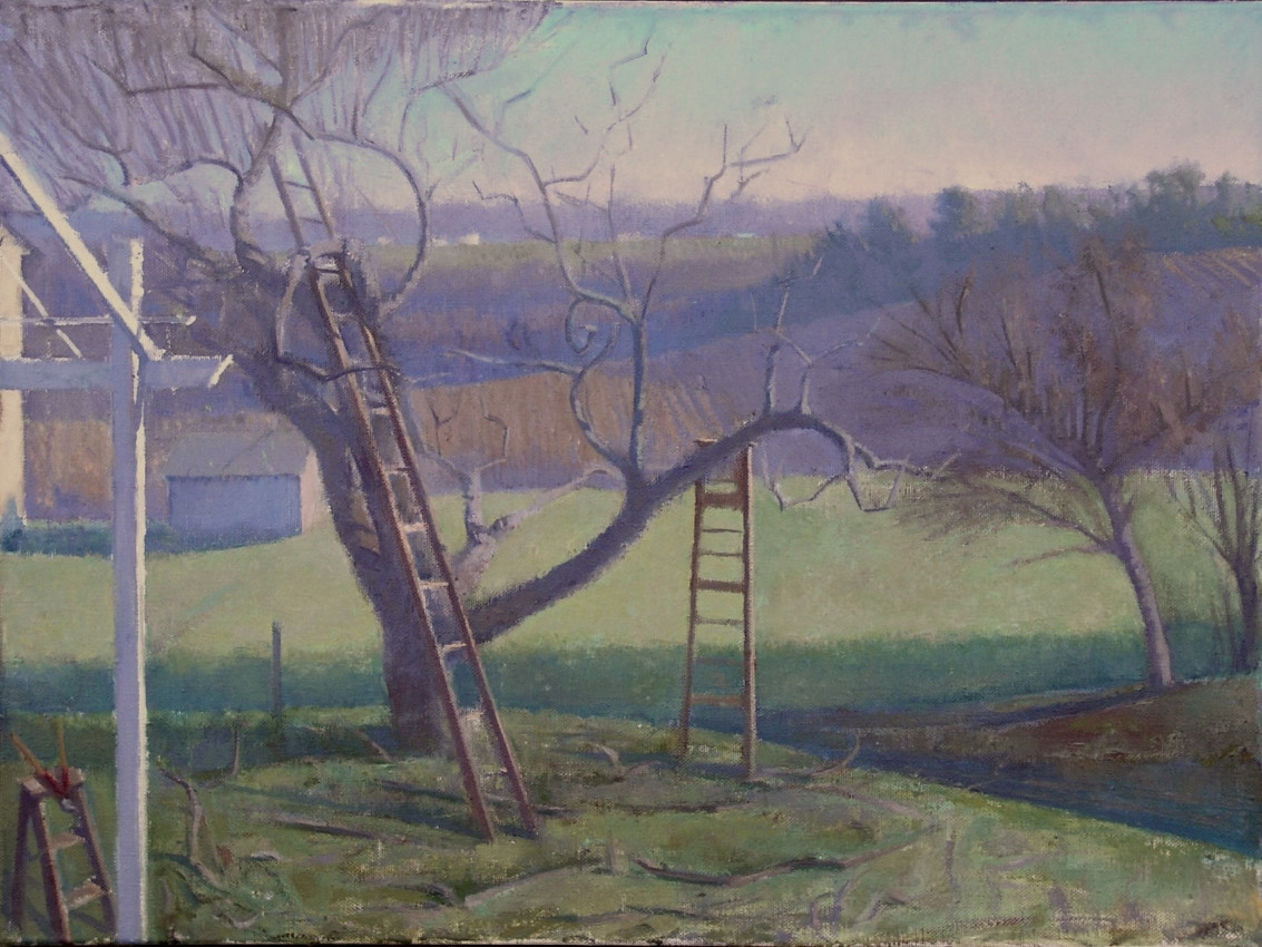 Pruning Ladders, Early Spring